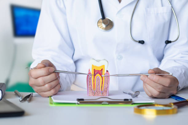 Best Cracked Tooth Emergency Dentist  in College Park, MD